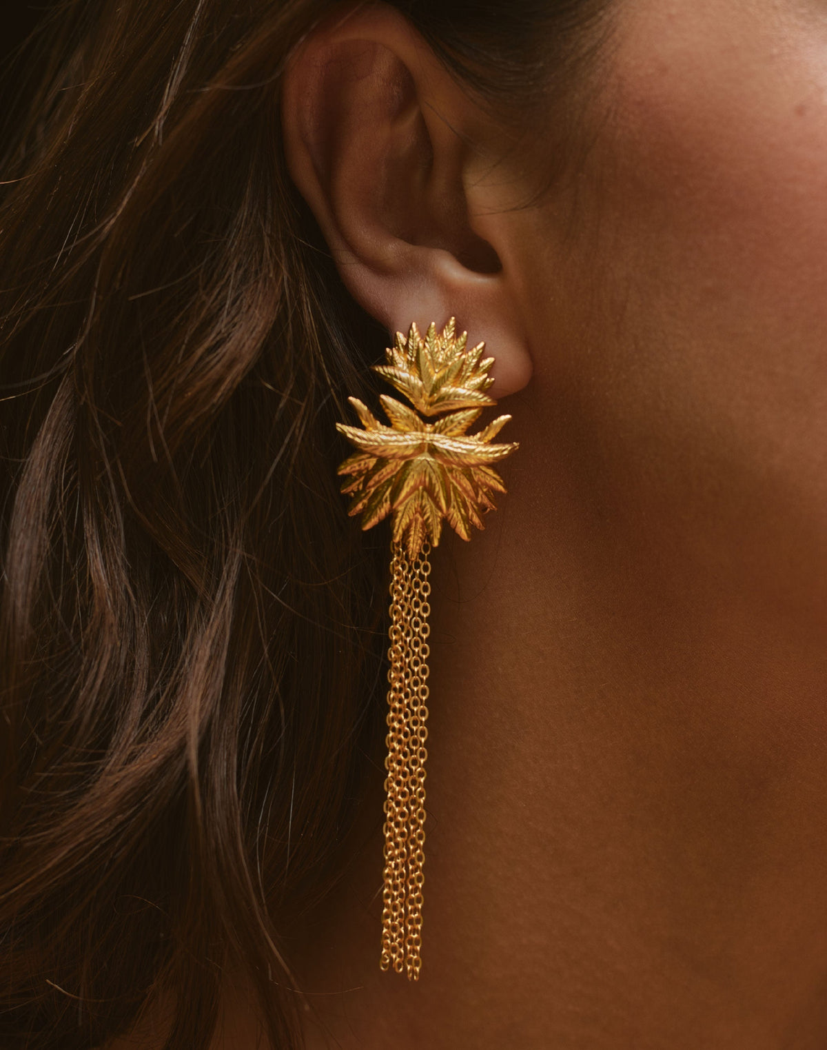 Aretes, collares & más