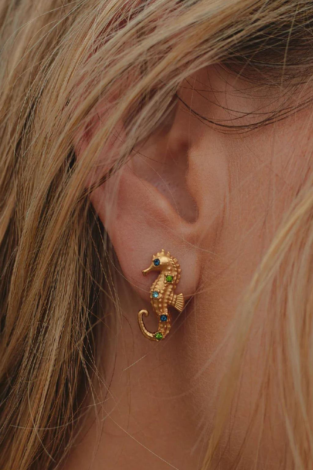 Aretes Caballito de mar