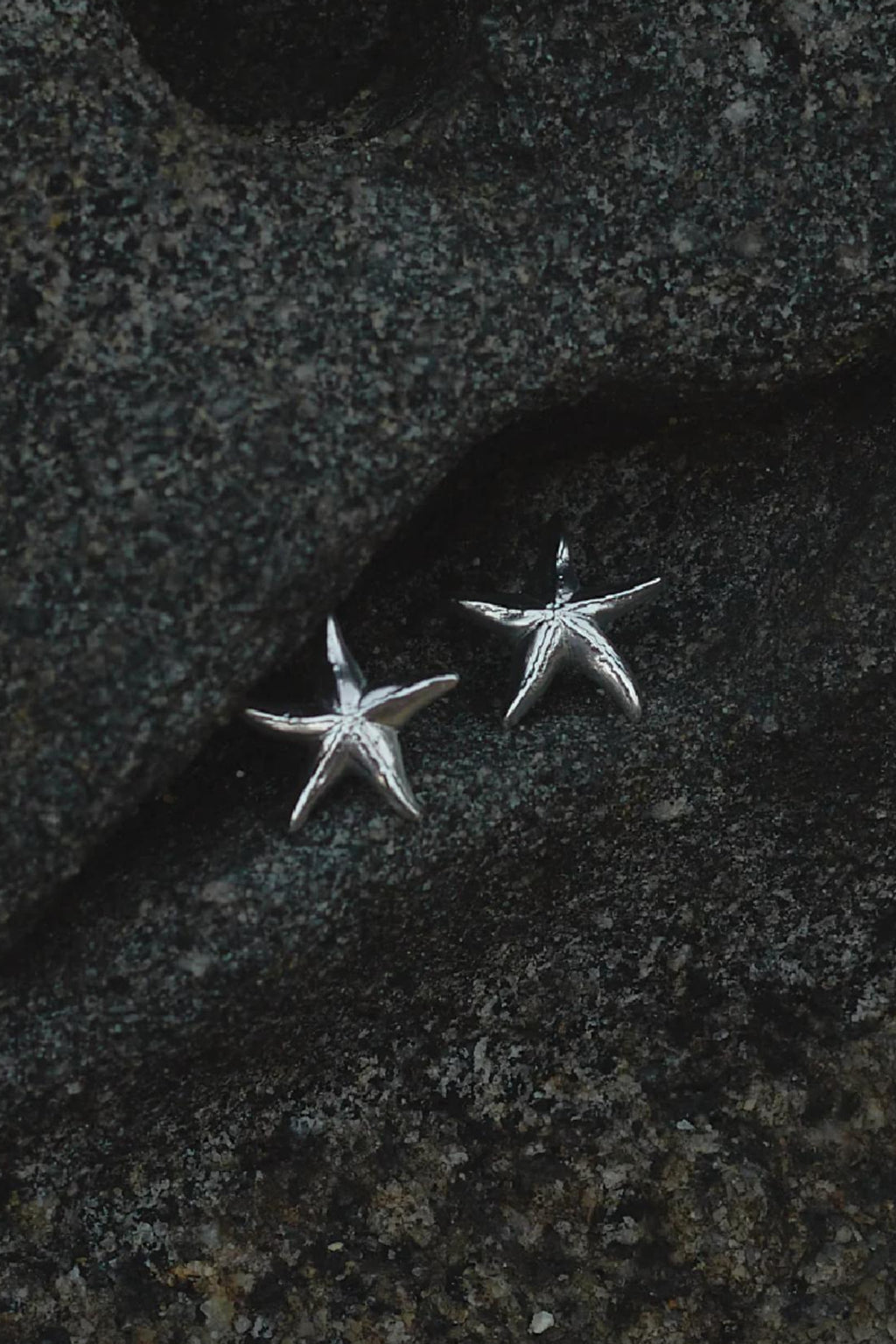 Estrella de Mar Plata