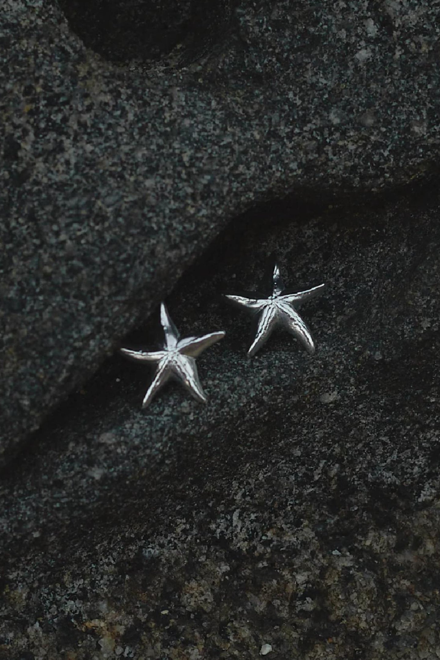 Estrella de Mar Plata