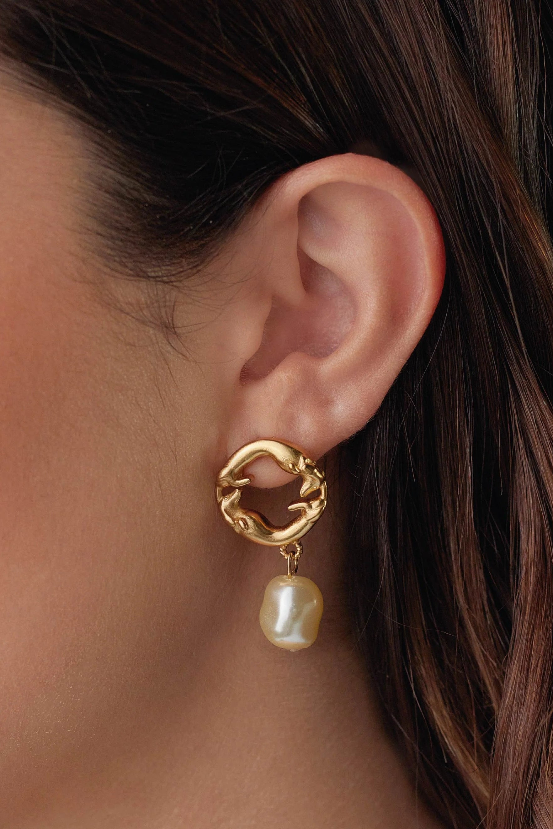 Aretes Salchicha arlequin