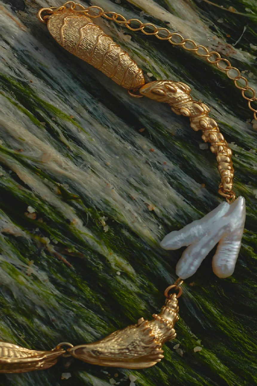 Set de Collar + Aretes Caracola