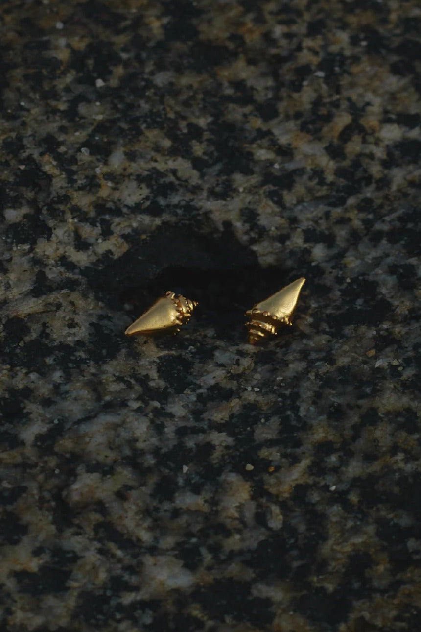 Set de Collar + Aretes Caracola